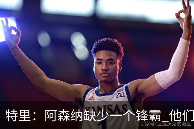 特里：阿森纳缺少一个锋霸 他们距离统治英超只差1、2笔签约